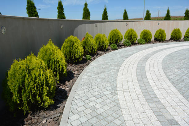 Best Local Driveway Pavers  in Burns, TN